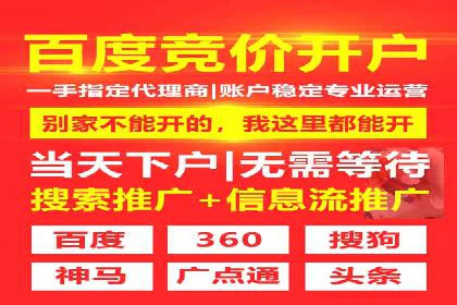 竞价广告的投放技巧与网络推广的实践